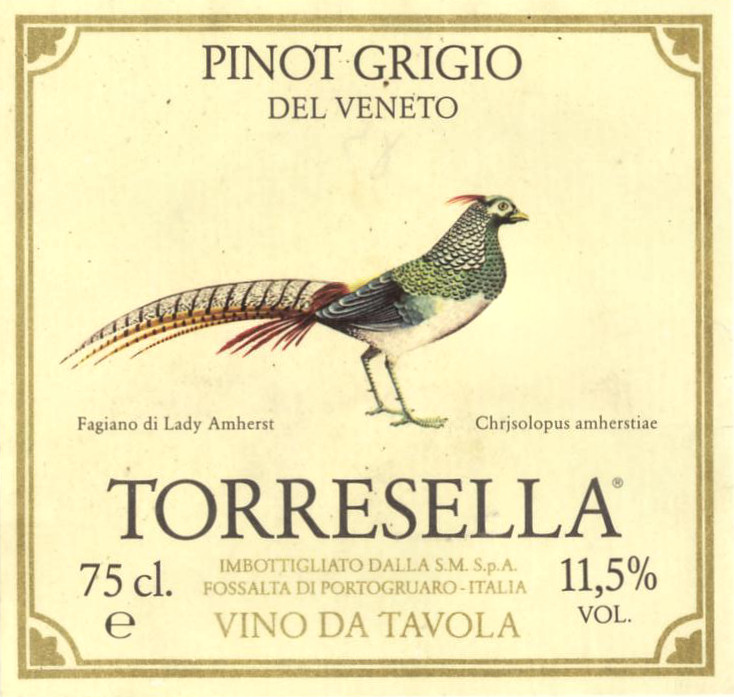Pinot grigio del Veneto_Torrisella 1982.jpg